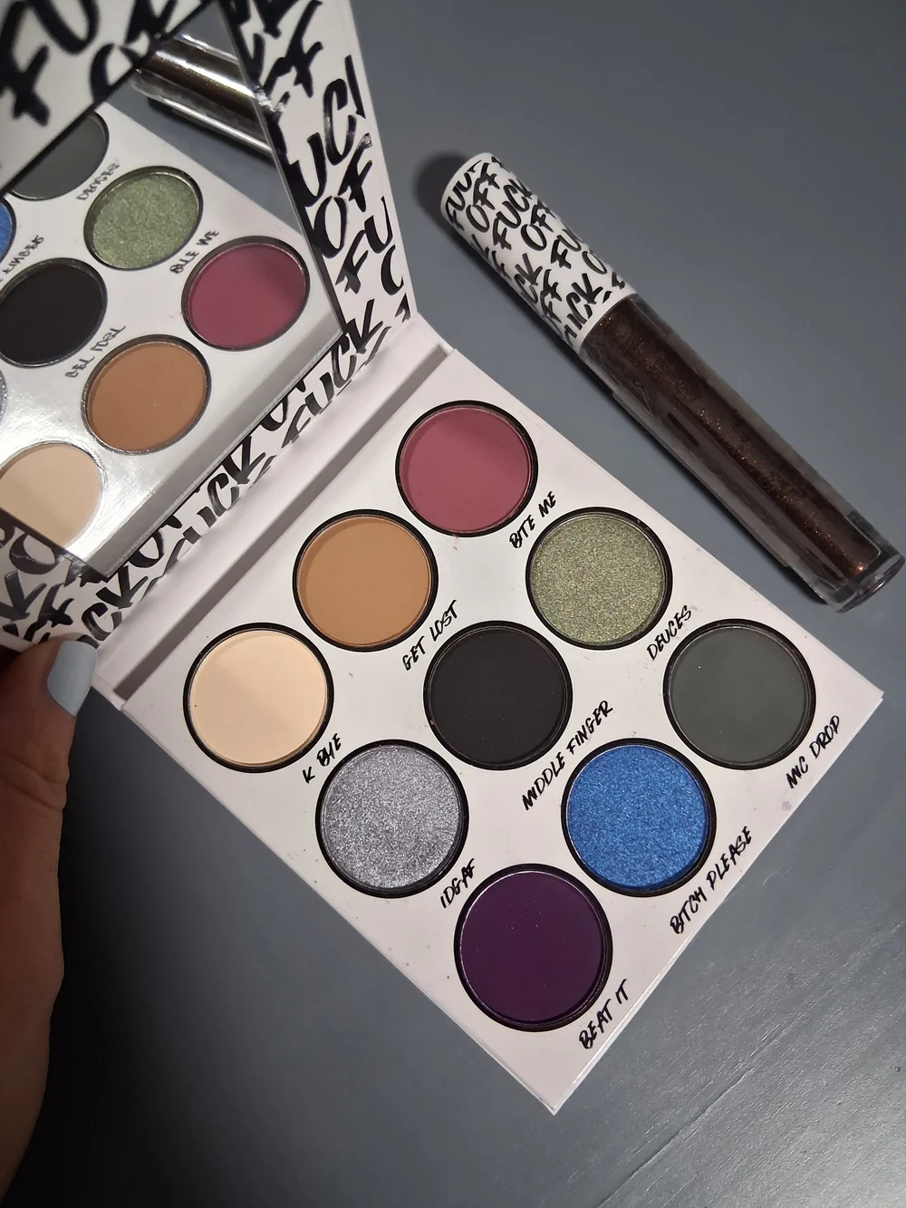 BH Cosmetics F**ck Off Palette And Lipgloss